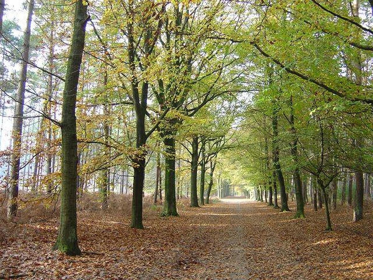 Boutique Hotel Shamon Eeklo Zewnętrze zdjęcie